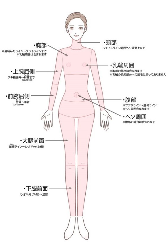 大阪ミナミ　大阪市浪速区の木村整形外科 施術範囲参考全身